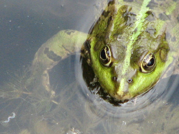 IMG_3466.jpg