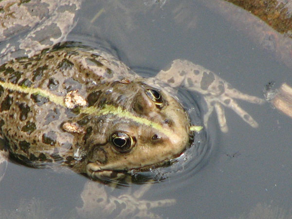 IMG_3463.jpg