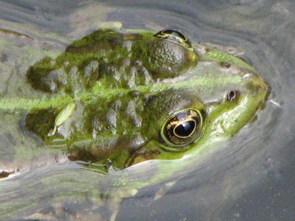 IMG_3461.jpg