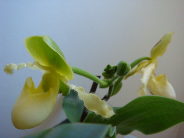 10DSC03010.JPG