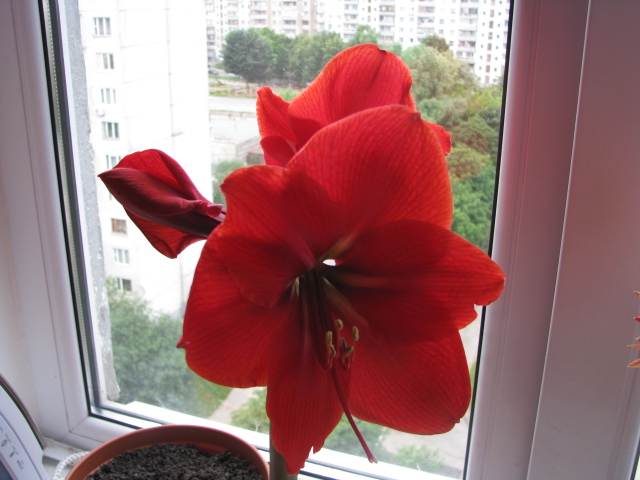 IMG_1590.JPG