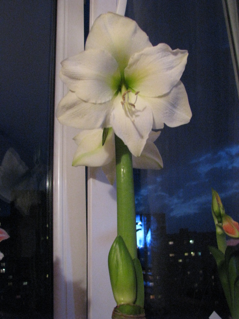 IMG_1628.JPG