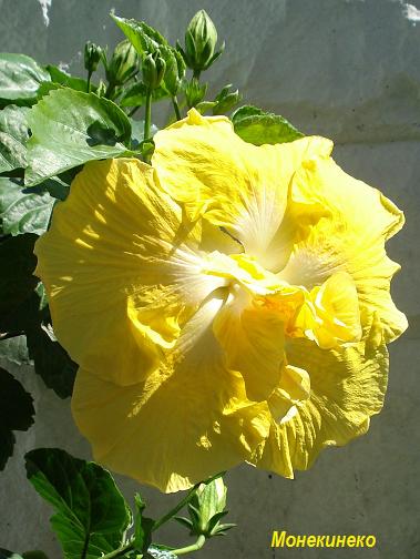DSC02900.jpg