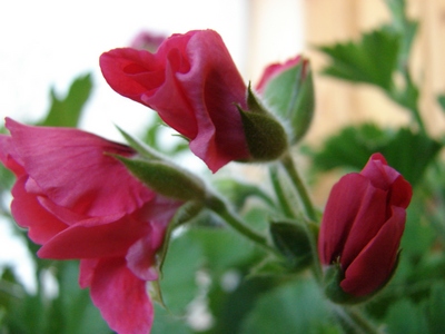 DSC00028_1.JPG