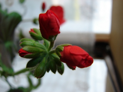 DSC00025_1.JPG