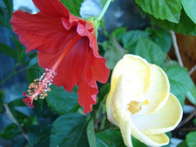DSC000185_1.JPG