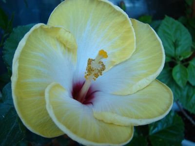 DSC00015_1.JPG