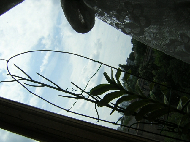 DSCN3563.jpg