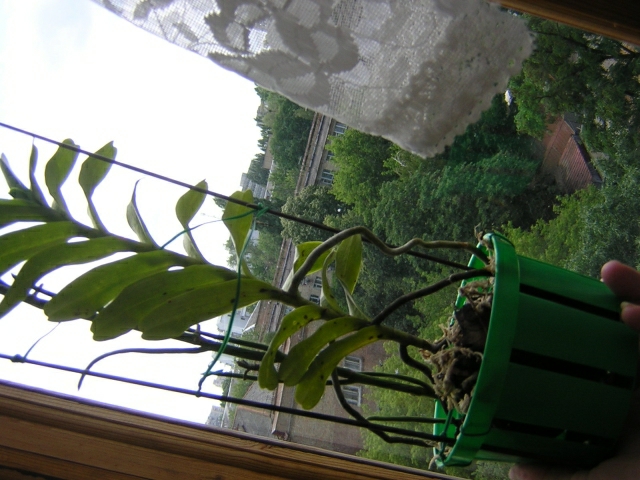 DSCN3564.jpg