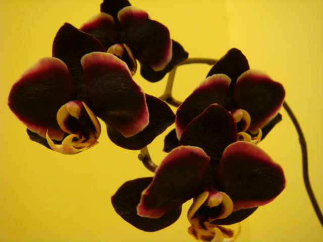 DSC03030.JPG