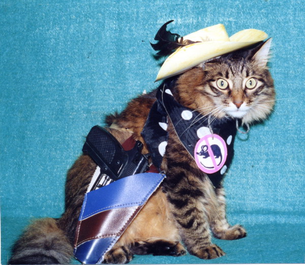 Kowboy_l.jpg