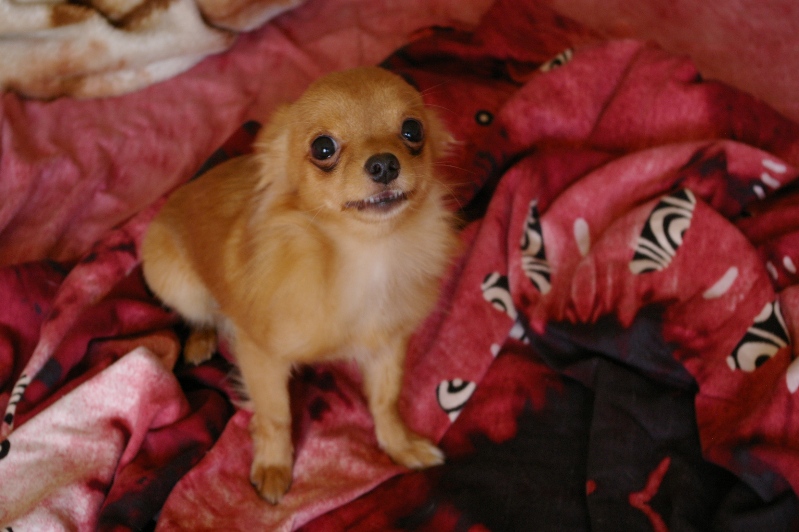 IMGP0524.JPG