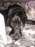 DSC00123.JPG