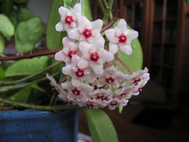 PICT0389sm.jpg