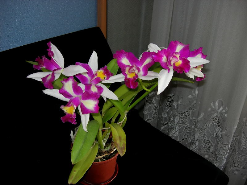 DSCN4978.JPG