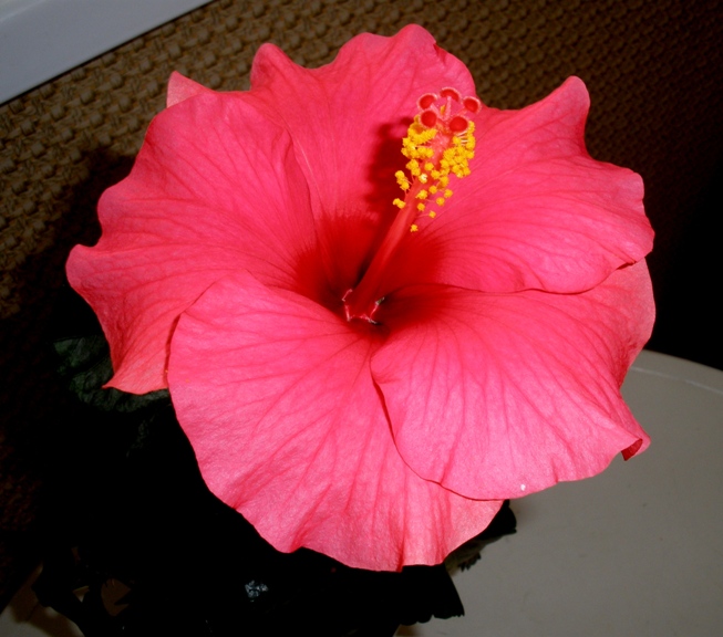 P8071521.JPG