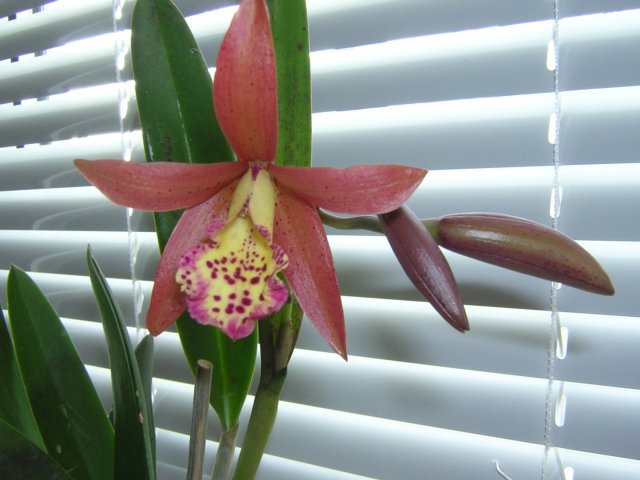 DSCN3812.jpg