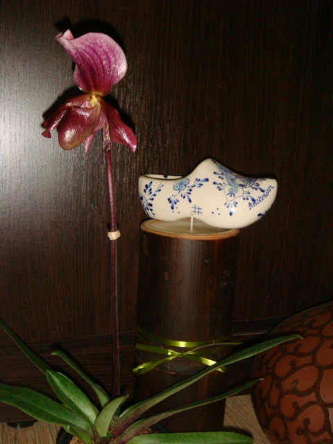 DSC03528.JPG