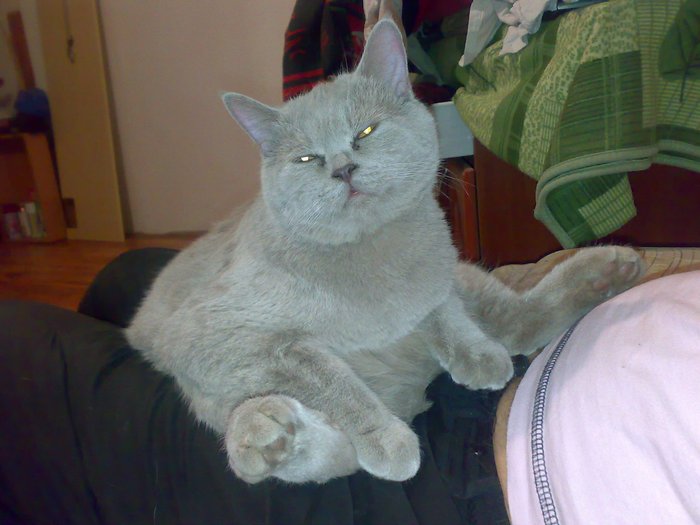 22032009138.jpg