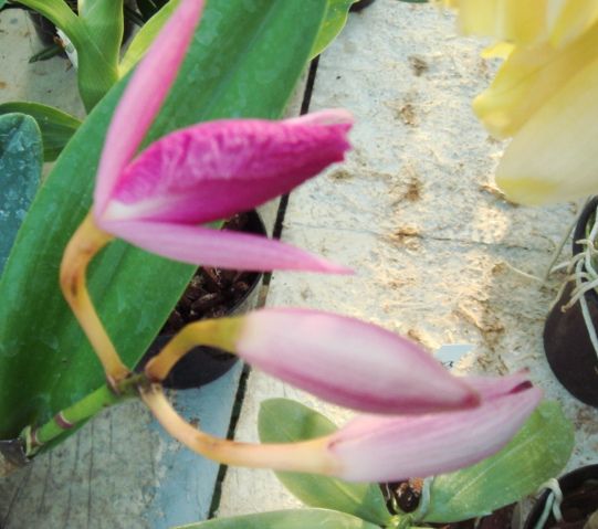 DSC05505.JPG