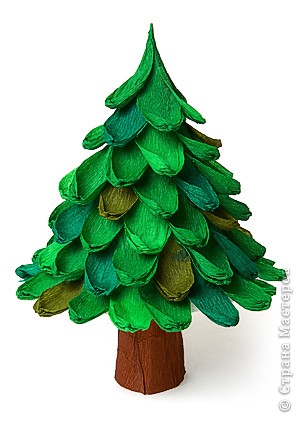 fir0.jpg