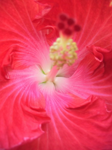 Big Tango_1 026.jpg