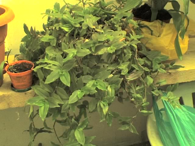 13-07-06_1145.jpg