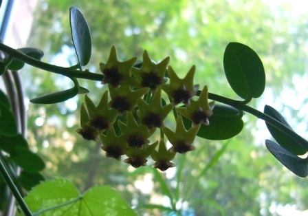 P1090315_.JPG