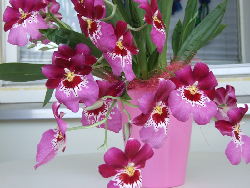 DSCF2143.jpg