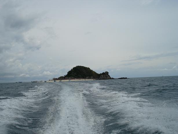 96.jpg