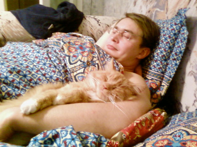коты.jpg