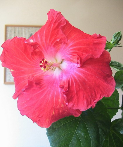 Big Tango 012.jpg