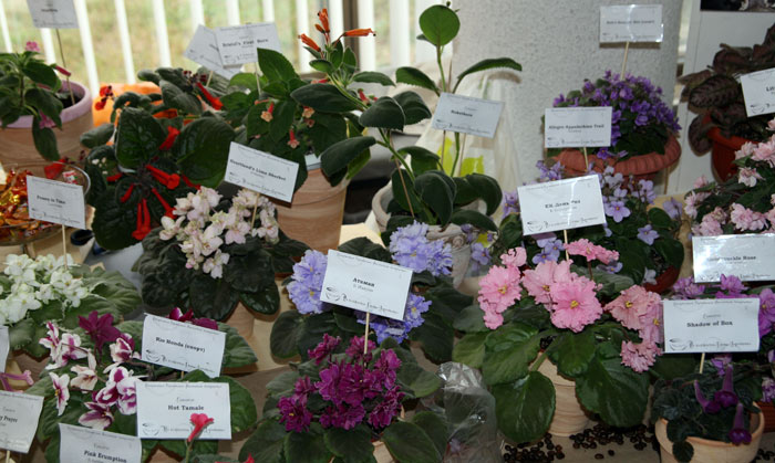 V1009012.jpg