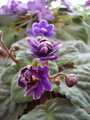 DSC02651_resize.jpg