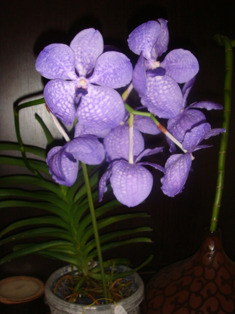 DSC04026.JPG
