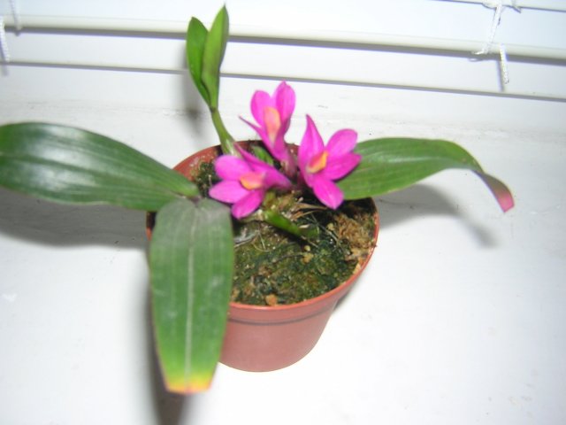 DSCN4136.jpg