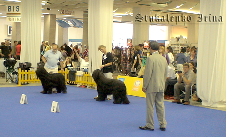 DSC01424.jpg