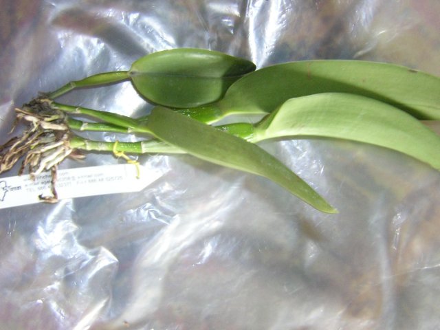 DSCN4233.jpg