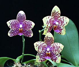 aa8fe052659a.jpg