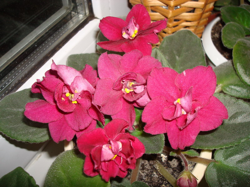 DSC02835_resize.JPG