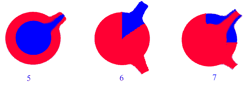 himer2.gif