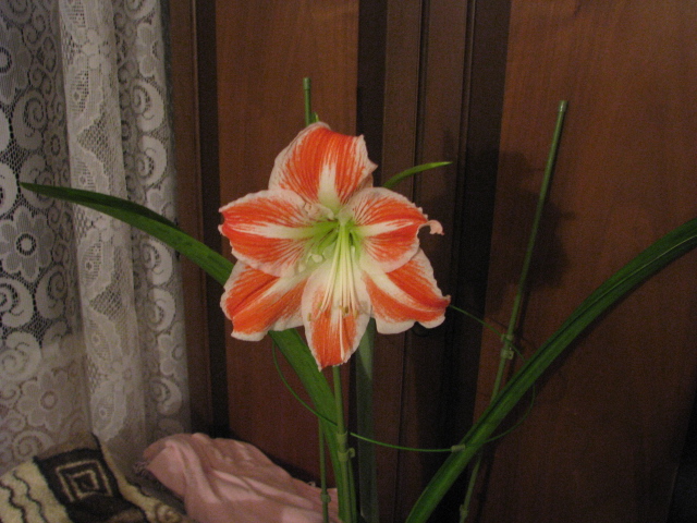 IMG_2006.JPG