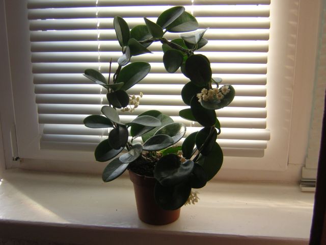 DSCN4389.jpg