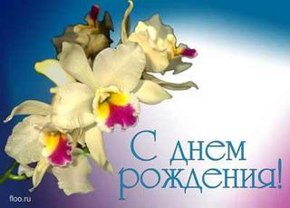 др2.jpg
