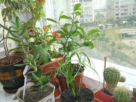 dormitorio.jpg