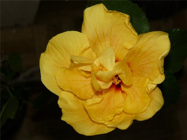 c5fa963185c6.jpg