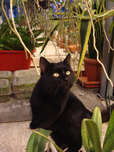 DSC04123  11.JPG