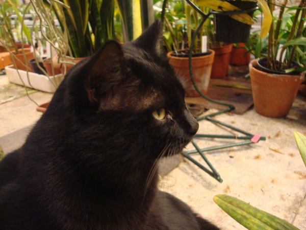 DSC04126  11.JPG