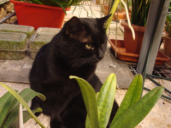 DSC04129  11.JPG