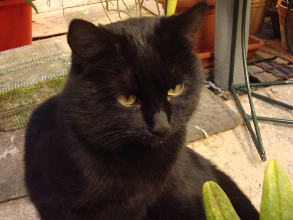 DSC04132  11.JPG